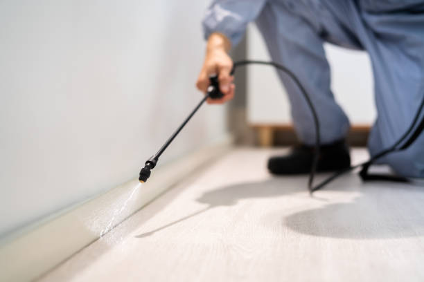 Licensed Pest Control service in Watford City, ND - Show Me Pest Control