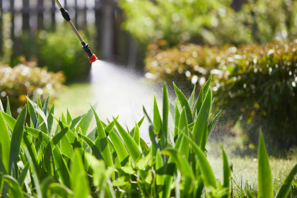 24/7 Emergency Wasp Removal experts in Watford City, ND