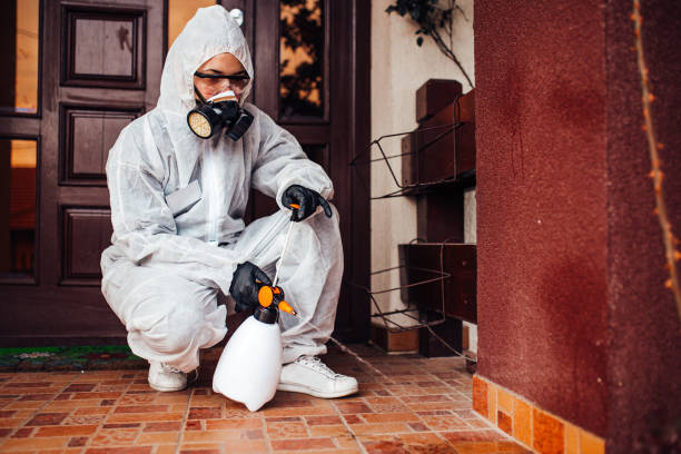 Reliable Wasp Removal contractor in Watford City, ND by Show Me Pest Control