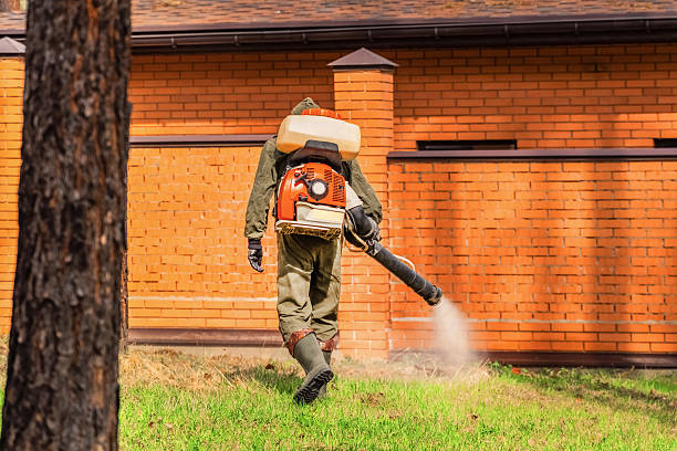 Top rated local Wasp Removal specialists in Watford City, ND